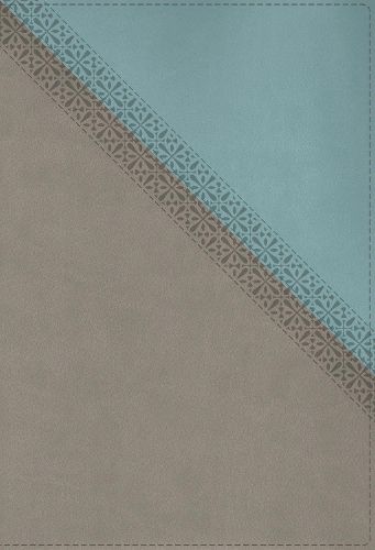 Cover image for NIV Application Bible, Leathersoft, Teal/Grey, Red Letter, Thumb Indexed, Comfort Print