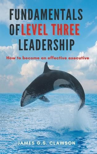 Cover image for Fundamentals of Level Three Leadership: How to Become an Effective Executive