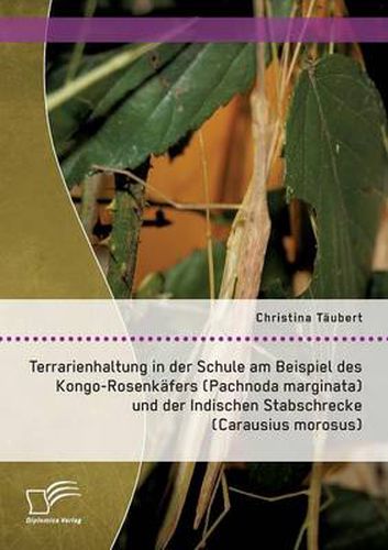 Cover image for Terrarienhaltung in der Schule am Beispiel des Kongo-Rosenkafers (Pachnoda marginata) und der Indischen Stabschrecke (Carausius morosus)