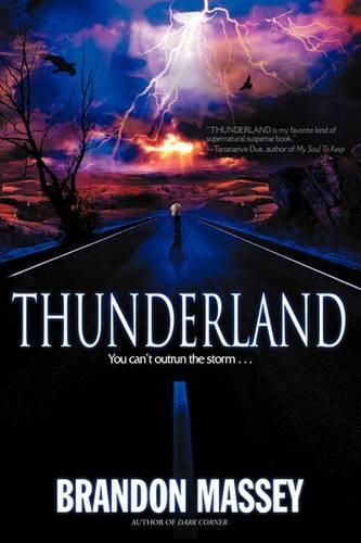 Cover image for Thunderland