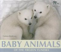 Cover image for Baby Animals of the Frozen Tundra