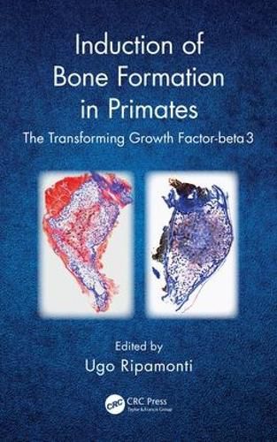 Cover image for Induction of Bone Formation in Primates: The Transforming Growth Factor-beta 3