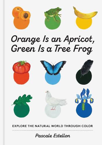 Cover image for Orange Is an Apricot, Green Is a Tree Frog