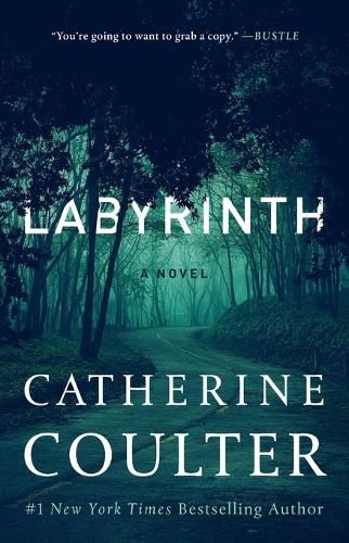 Cover image for Labyrinth