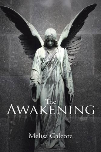 Cover image for The Awakening