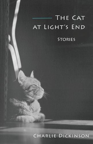 Cover image for The Cat at Light's End