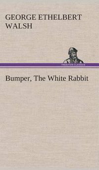 Cover image for Bumper, The White Rabbit