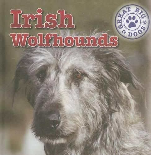 Irish Wolfhounds