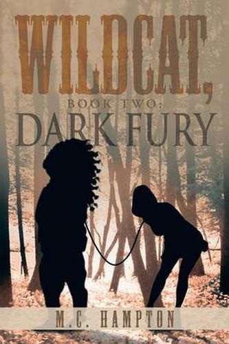 Cover image for Wildcat, Book Two: Dark Fury