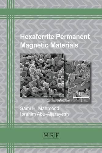 Cover image for Hexaferrite Permanent Magnetic Materials