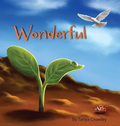Cover image for Wonderful