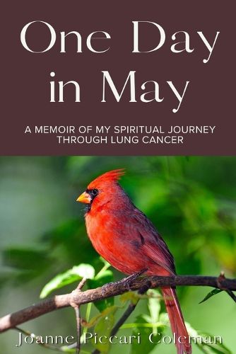 Cover image for One Day in May