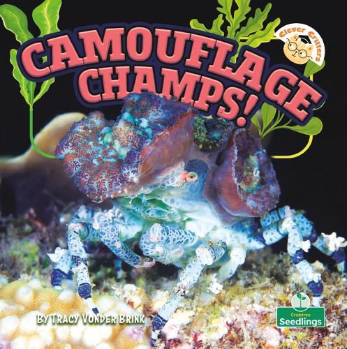 Cover image for Camouflage Champs!