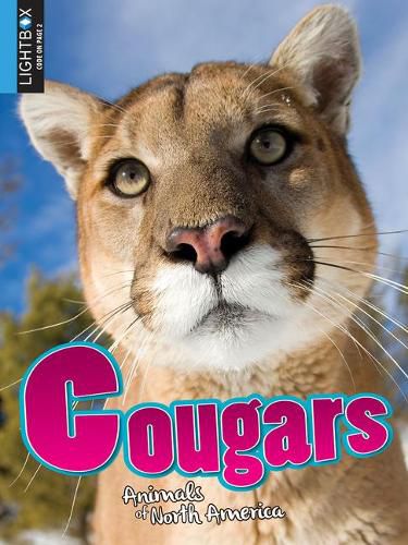 Cover image for Cougars