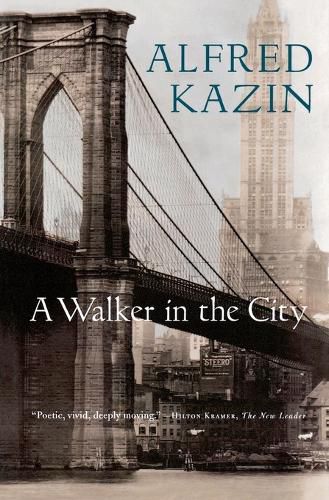 Cover image for Walker in the City