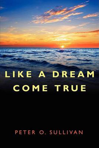 Cover image for Like a Dream Come True