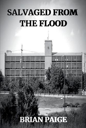 Cover image for Salvaged From the Flood