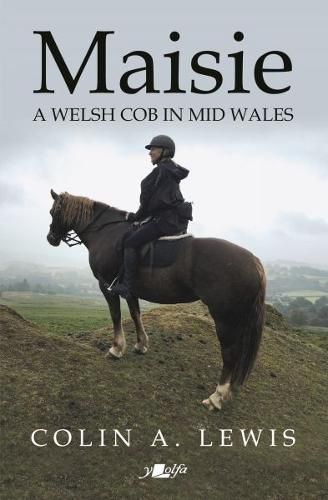 Cover image for Maisie - A Welsh Cob in Mid Wales