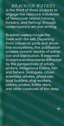 Cover image for Brackish Waters
