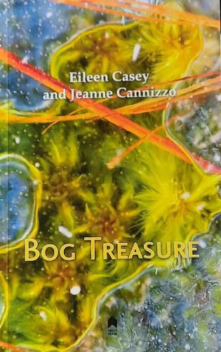 Cover image for Bog Treasure