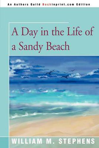 Cover image for A Day in the Life of a Sandy Beach