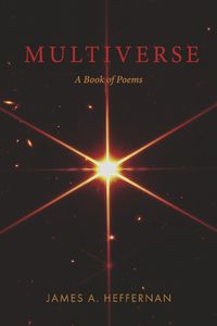 Cover image for Multiverse