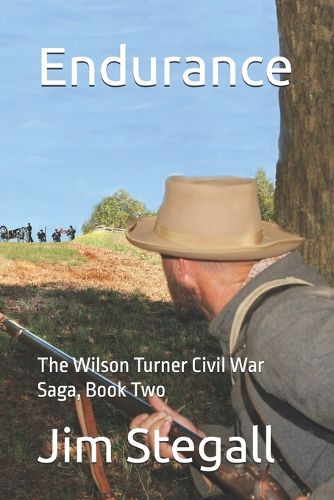 Cover image for Endurance