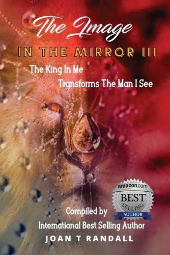 Cover image for The Image in the Mirror III