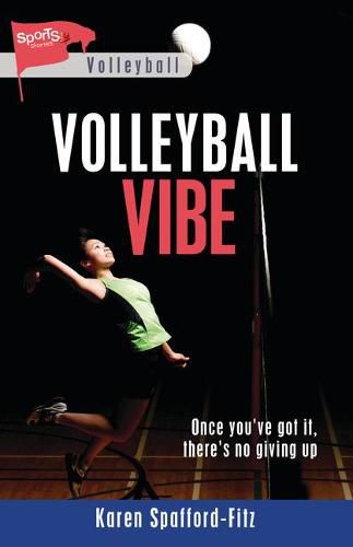 Cover image for Volleyball Vibe