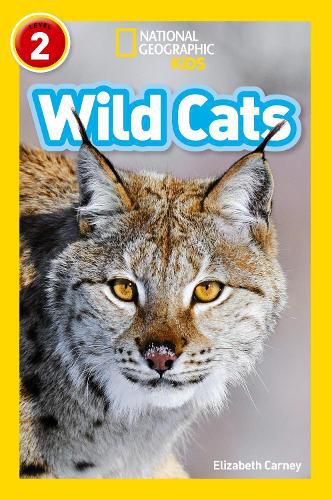 Wild Cats: Level 2