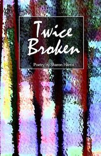 Cover image for Twice Broken