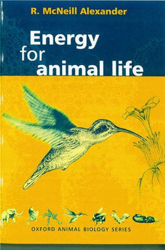Cover image for Energy for Animal Life