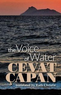 Cover image for The Voice of Water