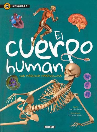 Cover image for El Cuerpo Humano