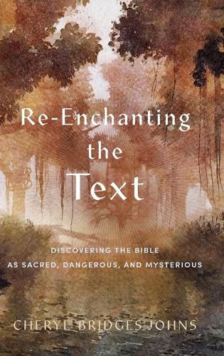 Cover image for Re-Enchanting the Text: Discovering the Bible as Sacred, Dangerous, and Mysterious