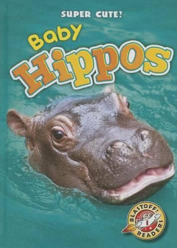 Cover image for Baby Hippos
