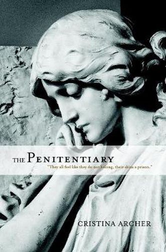 Cover image for The Penitentiary