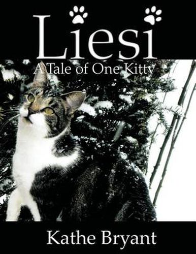 Cover image for Liesi: Tale of One Kitty