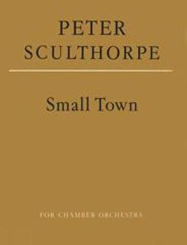 Cover image for Small Town