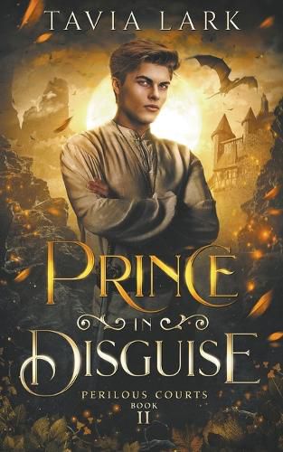 Cover image for Prince in Disguise