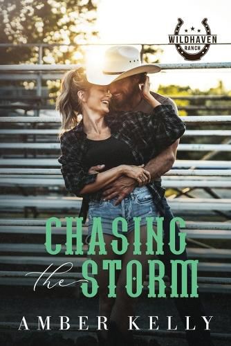 Cover image for Chasing the Storm