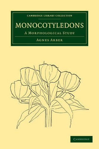 Cover image for Monocotyledons: A Morphological Study