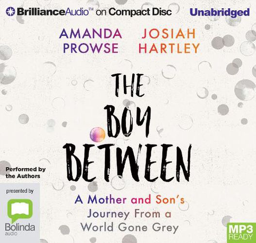 Cover image for The Boy Between