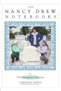 Cover image for The Snowman Surprise