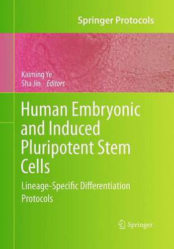 Cover image for Human Embryonic and Induced Pluripotent Stem Cells: Lineage-Specific Differentiation Protocols