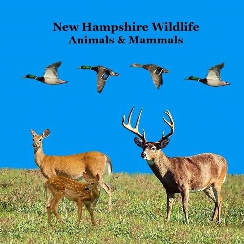 Cover image for New Hampshire Animals and Mammals Kids Wildlife Book