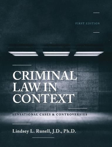 Cover image for Criminal Law in Context