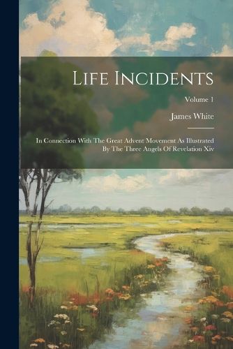 Cover image for Life Incidents