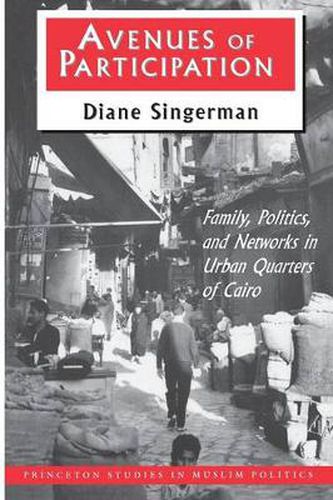 Cover image for Avenues of Participation: Family, Politics and Networks in Urban Quarters of Cairo