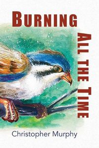 Cover image for Burning All the Time